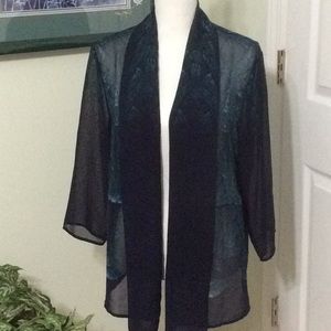 ❤️EUC Chico’s sheer open front top, navy & green